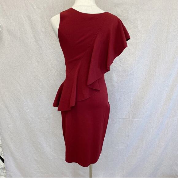 Diane von Furstenberg Ruffle Front Bodycon Dress‎ in Bordeaux size Petite - Picture 12 of 14